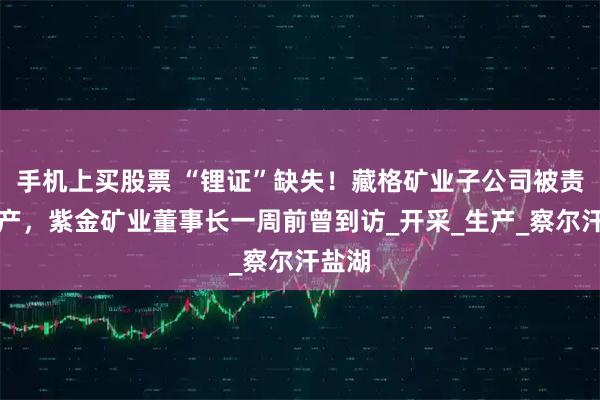 手机上买股票 “锂证”缺失！藏格矿业子公司被责令停产，紫金矿业董事长一周前曾到访_开采_生产_察尔汗盐湖