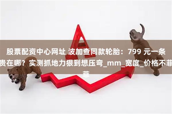 股票配资中心网址 波加查同款轮胎：799 元一条贵在哪？实测抓地力狠到想压弯_mm_宽度_价格不菲
